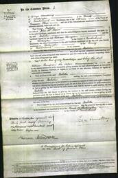 Court of Common Pleas - Isabella McMinn-Original Ancestry