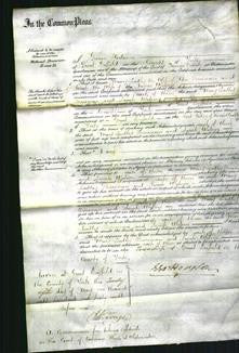 Court of Common Pleas - Mary Leadley Berriman-Original Ancestry