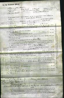 Court of Common Pleas - Amelia Trueman-Original Ancestry