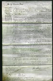Court of Common Pleas - Sarah Lewis-Original Ancestry