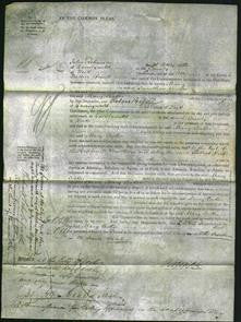 Court of Common Pleas - Mary Cocker-Original Ancestry