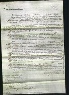 Court of Common Pleas - Mary Mann Wells, Eliza Susan Evans-Original Ancestry