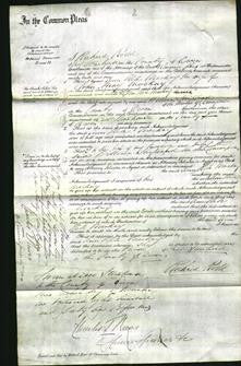 Court of Common Pleas - Ann Hele Mackay-Original Ancestry