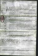 Court of Common Pleas - Susanna Williams-Original Ancestry