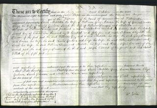 Deed by Married Women- Sarah Matilda Gray, Emma Dawson, Eliza Graham, Sarah Dawson and Matilda Lewin-Original Ancestry