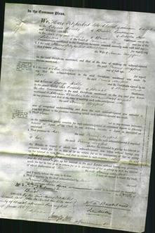 Court of Common Pleas - Fanny Mogford-Original Ancestry