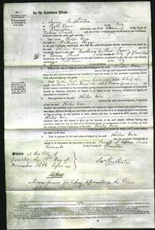 Court of Common Pleas - Hester Ann Higgs-Original Ancestry