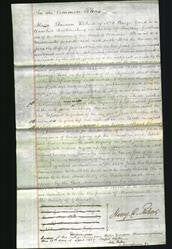 Court of Common Pleas - Jane Allen-Original Ancestry