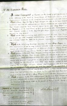 Court of Common Pleas - Eliza Marples-Original Ancestry