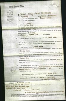 Court of Common Pleas - Sarah Lake-Original Ancestry