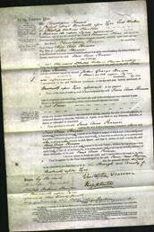 Court of Common Pleas - Jane Ann Pearson-Original Ancestry