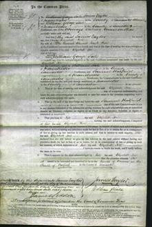 Court of Common Pleas - Elizabeth Hore-Original Ancestry