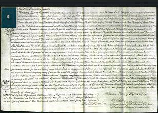 Court of Common Pleas - Elizabeth Robinson, Emma Benham, Sarah Robinson, Elizabeth Frances, Ann Copas-Original Ancestry