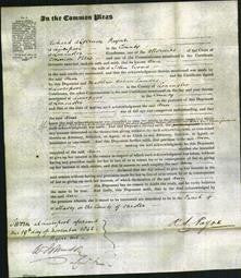 Court of Common Pleas - Ann Evans-Original Ancestry