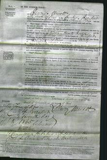 Court of Common Pleas - Mary Anne Gurnell Ogilvie-Original Ancestry