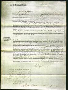 Court of Common Pleas - Susannah Brewer-Original Ancestry