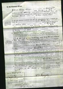 Court of Common Pleas - Harriet Shaw-Original Ancestry