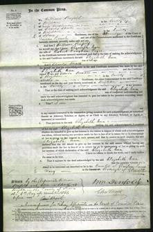 Court of Common Pleas - Elizabeth Ann Pryce-Original Ancestry