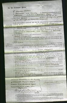 Court of Common Pleas - Sarah Naughton-Original Ancestry