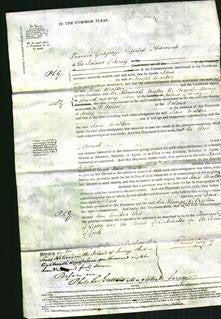 Court of Common Pleas - Jane Walker-Original Ancestry