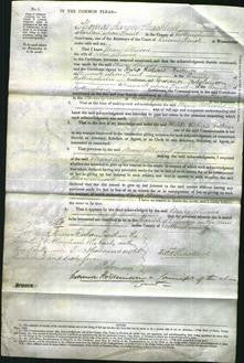 Court of Common Pleas - Mary Allwood-Original Ancestry