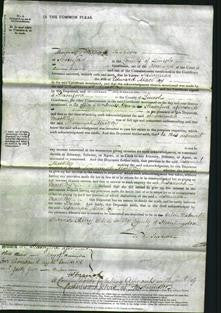 Court of Common Pleas - Susannah Mackley-Original Ancestry