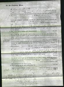 Court of Common Pleas - Caroline Smith-Original Ancestry