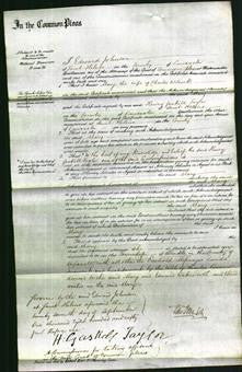 Court of Common Pleas - Mary Wilcock-Original Ancestry