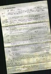 Court of Common Pleas - Emily Maria Fox-Original Ancestry