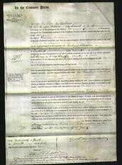 Court of Common Pleas - Sarah Ludlam-Original Ancestry