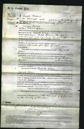Court of Common Pleas - Elizabeth Gibson-Original Ancestry