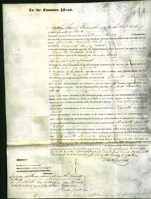 Court of Common Pleas - Charlotte Augusta Wood-Original Ancestry