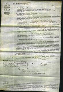 Court of Common Pleas - Susan Gascoyne Hurry-Original Ancestry