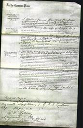 Court of Common Pleas - Mary Foster-Original Ancestry