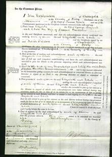 Court of Common Pleas - Elizabeth Laycock and Edah Pendleton-Original Ancestry