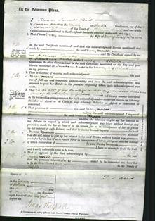 Court of Common Pleas - Mary Mason-Original Ancestry