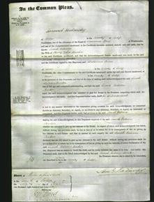 Court of Common Pleas - Sarah Rebecca Barker-Original Ancestry