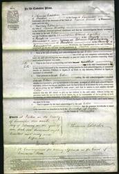 Court of Common Pleas - Ellen Hartley-Original Ancestry