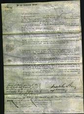 Court of Common Pleas - Ann Wright-Original Ancestry