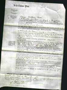 Court of Common Pleas - Elizabeth Percival-Original Ancestry