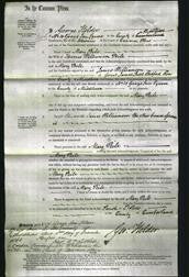 Court of Common Pleas - Mary Peile-Original Ancestry