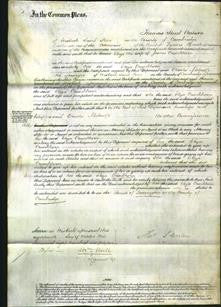 Court of Common Pleas - Eliza Cruckhorn-Original Ancestry