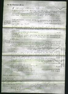 Court of Common Pleas - Elizabeth Howard-Original Ancestry