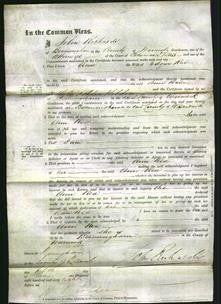 Court of Common Pleas - Ann Rea-Original Ancestry