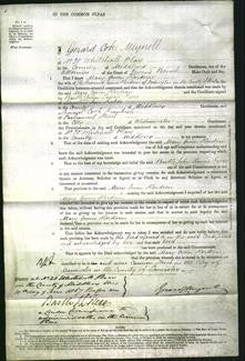 Court of Common Pleas - Mary Owen Hordern-Original Ancestry