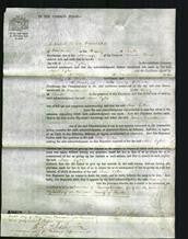 Court of Common Pleas - Ann Gyton-Original Ancestry