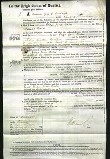 Court of Common Pleas - Eliza Jane Dales-Original Ancestry