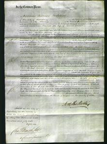 Court of Common Pleas - Harriet Tormer-Original Ancestry