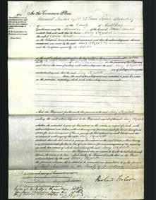Court of Common Pleas - Mary Elizabeth Hall-Original Ancestry