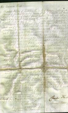 Court of Common Pleas - Elizabeth Martin-Original Ancestry